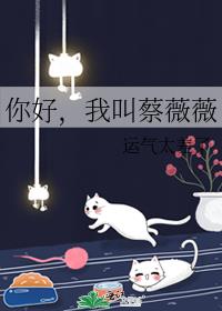 你好，我叫蔡薇薇