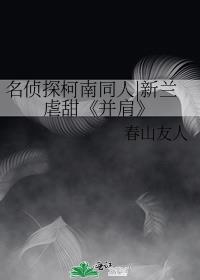 名侦探柯南同人|新兰虐甜《并肩》