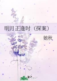 明月正逢时（探案）