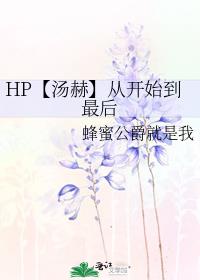 HP【汤赫】从开始到最后