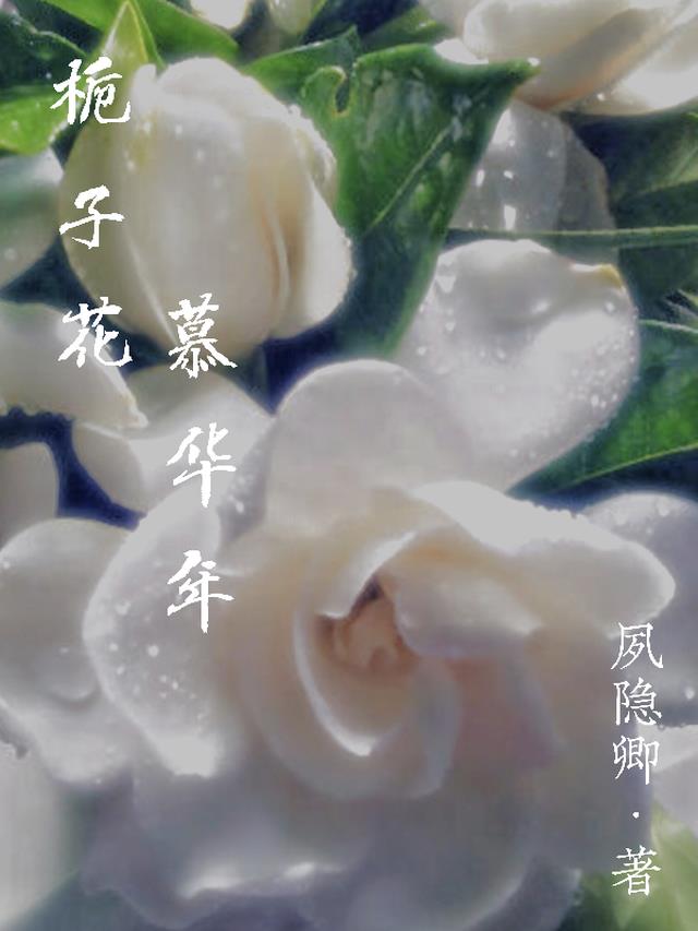 栀子花,慕华年