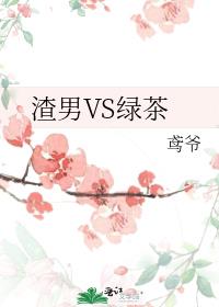 渣男VS绿茶