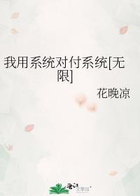 我用系统对付系统[无限]