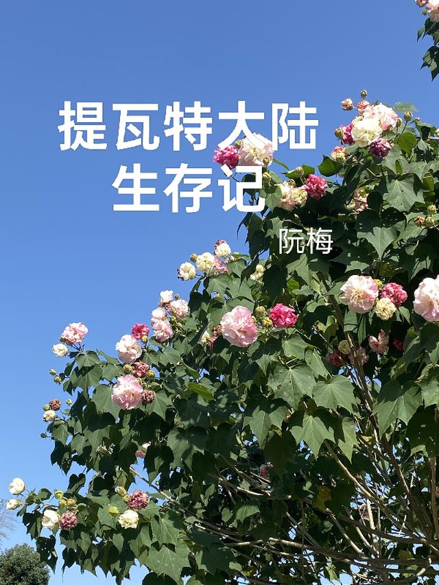 提瓦特大陆生存记