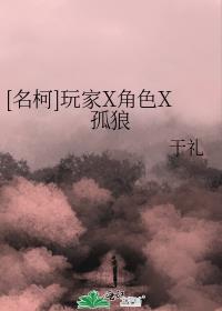 [名柯]玩家X角色X孤狼