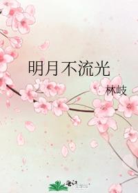 明月不流光