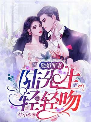 隐婚罪妻：陆先生，轻轻吻