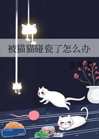 被猫猫碰瓷了怎么办